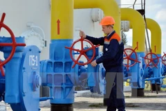 Ảnh minh họa. (Nguồn: AFP/TTXVN)