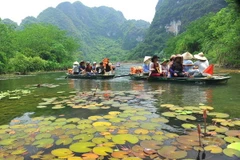 Du khách khám phá vẻ đẹp kỳ vĩ của Danh thắng Tràng An trên các con đò nhỏ lướt xuôi theo dòng sông trong xanh, êm trôi men theo các dãy núi đá vôi tuyệt đẹp. (Ảnh: Minh Đức/TTXVN)