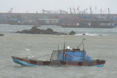 Ảnh minh họa. (Nguồn: TTXVN)