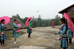 Sắc Xuân nở rộ trên khắp mọi miền Tổ quốc Việt Nam