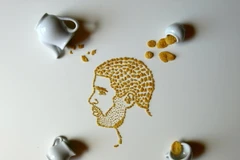 Các ngôi sao âm nhạc xuất hiện trong bộ sưu tập của cô có thể kể tới Beyoncé, Lady Gaga, John Lennon, Drake, Amy Winehouse, Taylor Swift và Michael Jackson. (Nguồn: cctvnews) 