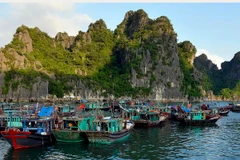 Thuyền về bến cá trên Vịnh Hạ Long. (Ảnh: Thanh Hà/TTXVN) 