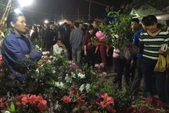 Hàng nghìn người du Xuân phiên chợ "mua may, bán rủi" đầu năm