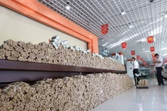 Trả hơn 100.000 USD tiền mua xe hơi bằng... 4 tấn tiền xu