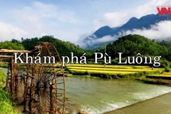 [Video] Khám phá nét đẹp tạo hóa ở khu Bảo tồn Thiên nhiên Pù Luông