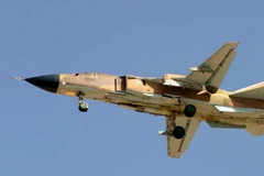 Ảnh minh họa. (Nguồn: Wikimedia Commons)