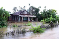 Đường liên xã và nhà dân ở Hà Tĩnh ngập sâu trong nước lũ. (Ảnh: Công Tường/TTXVN)