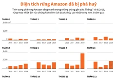 Diện tích rừng Amazon bị phá hủy trong hơn 3 năm qua.