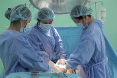 Ảnh minh họa. (Nguồn: TTXVN)