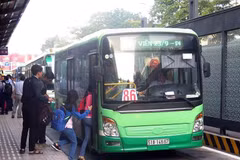 Ảnh minh họa. (Nguồn: TTXVN)
