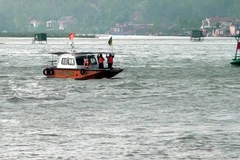 Ảnh minh họa. (Nguồn: TTXVN)