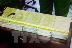 Tang vật một vụ buôn ma túy. (Ảnh minh họa. Nguồn: TTXVN)