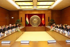 Phó Chủ tịch Quốc hội Phùng Quốc Hiển hội đàm với Phó Chủ tịch Quốc hội Hungary István Jakab. (Ảnh: Dương Giang/TTXVN)