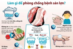 Cần làm gì để phòng chống bệnh sán lợn?