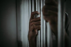 (Nguồn: The Conversation)