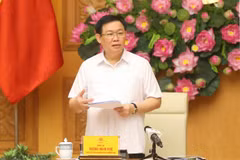 Phó Thủ tướng Vương Đình Huệ, Trưởng Ban Chỉ đạo đổi mới và Phát triển doanh nghiệp phát biểu. (Ảnh: Doãn Tấn/TTXVN)
