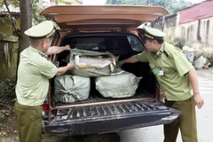 Cán bộ Đội Quản lý thị trường số 9 tiến hành bàn giao cho các đơn vị chức năng để tiêu hủy. (Ảnh: Thái Thuần/TTXVN)