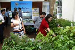 Đại biểu tham quan gian trưng bày sản phẩm giống cây lâm nghiệp sản xuất bằng công nghệ nuôi cấy mô của Viện Khoa học Lâm nghiệp Việt Nam. (Ảnh: Vũ Sinh/TTXVN)