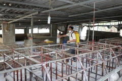 Phun thuốc tiêu độc khử trùng chuồng trại. (Ảnh: Quý Trung/TTXVN)