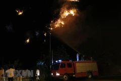 Lực lượng phòng cháy chữa cháy chuyên nghiệp cùng hàng chục phương tiện đã được điều đến hiện trường. (Ảnh: Ninh Đức Phương/TTXVN)