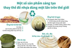 Một số sản phẩm sáng tạo thay thế đồ nhựa dùng 1 lần.