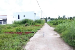 Ảnh minh họa. (Nguồn: TTXVN)