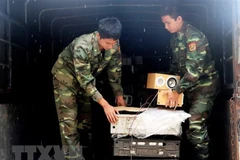 Kiểm đếm và vận chuyển tang vật buôn lậu hàng hóa vào kho tạm giữ. (Ảnh: Công Mạo/TTXVN)