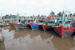 Tàu, thuyền neo đậu tránh bão. (Ảnh: An Đăng/TTXVN)