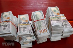 Toàn bộ tang vật thu giữ được ngày 24/6. (Ảnh: Công Mạo/TTXVN)