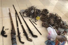 Ba khẩu súng kíp, 1 khẩu súng cồn, 1 súng quân dụng (súng colt cổ xoay), 3 viên đạn và 30 chiếc bẫy kiềng bằng sắt cơ quan chức năng thu giữ sau khi khám nhà của Lềnh, bố đẻ và em trai của Lềnh. (Ảnh: Xuân Tiến/TTXVN)