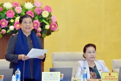 Phó Chủ tịch Thường trực Quốc hội Tòng Thị Phóng phát biểu. (Ảnh: Trọng Đức/TTXVN)