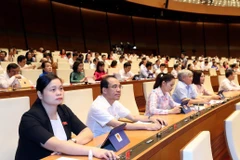 Các đại biểu Quốc hội biểu quyết thông qua một dự án luật. (Ảnh: Trọng Đức/TTXVN)