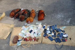 Tang vật một vụ đá gà ăn tiền bị công an phát hiện. (Nguồn: TTXVN)