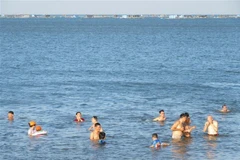 Ảnh minh họa. (Nguồn: TTXVN)