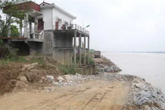 Các phương tiện, xe máy xúc tham gia xử lý khẩn cấp sạt lở đê tả sông Thao, uy hiếp công trình Trạm bơm Bản Nguyên, xã Bản Nguyên, huyện Lâm Thao, tỉnh Phú Thọ. (Ảnh: Tạ Toàn/TTXVN)