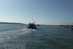 Ảnh minh họa. (Nguồn: TTXVN)