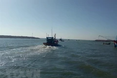 Ảnh minh họa. (Nguồn: TTXVN)