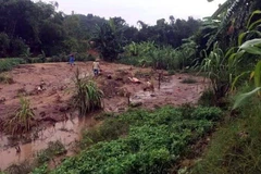 Mưa lũ gây thiệt hại nặng tại Tuyên Quang. (Nguồn: TTXVN)