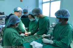 Ảnh minh họa. (Nguồn: TTXVN)