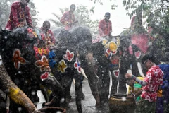 Người dân tham gia lễ hội té nước Songkran ở Ayutthaya, Thái Lan, ngày 11/4/2019. (Ảnh: AFP/TTXVN)