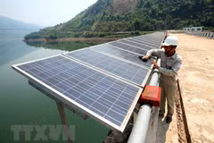 Ảnh minh họa. (Nguồn: TTXVN)