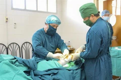 Ảnh minh họa. (Nguồn: TTXVN)