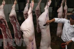 Ảnh minh họa. (Nguồn: TTXVN)