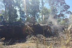 Hiện trường vụ cháy. (Ảnh: Hồng Điệp/TTXVN)