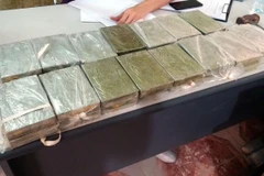 Tang vật của vụ án. (Ảnh: Mạnh Tú/TTXVN)