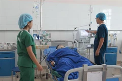 Bệnh nhân Nguyễn Văn Thành đang được điều trị tích cực tại Khoa Gây mê Hồi sức, Bệnh viện Trung ương Thái Nguyên. (Ảnh: Thu Hằng/TTXVN)
