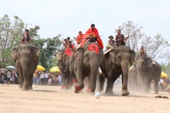 Pha tranh chấp bóng trong phần thi voi đá bóng. (Ảnh: Tuấn Anh/TTXVN)