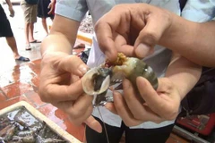 Ảnh minh họa. (Nguồn: TTXVN)