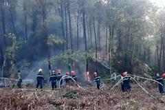 Ảnh minh họa. (Nguồn: TTXVN)