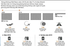 Hàng không Việt Nam năm 2018 ước đạt 71,4 triệu khách.